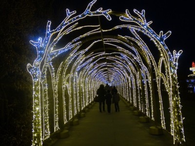 Pałac w Wilanowie - królewskie ogrody światła
